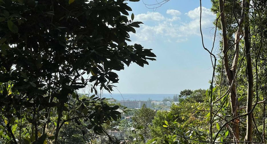 For sale land in Kathu, Phuket