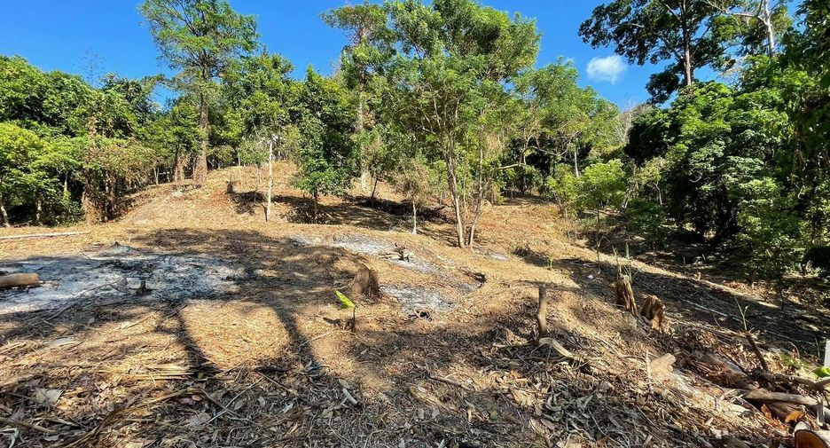 For sale land in Kathu, Phuket
