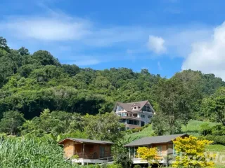 For sale land in Muak Lek, Saraburi