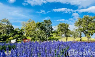 For sale land in Muak Lek, Saraburi