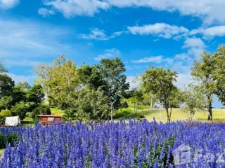 For sale land in Muak Lek, Saraburi