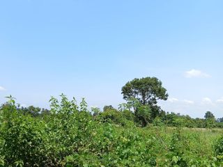 出售 土地 在 Kabin Buri, Prachin Buri