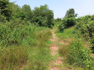 出售 土地 在 Kabin Buri, Prachin Buri