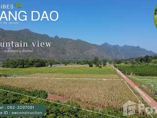 For sale land in Chiang Dao, Chiang Mai