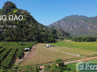 For sale land in Chiang Dao, Chiang Mai