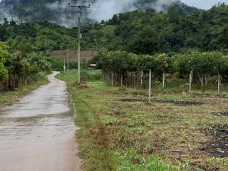 For sale land in Chiang Dao, Chiang Mai