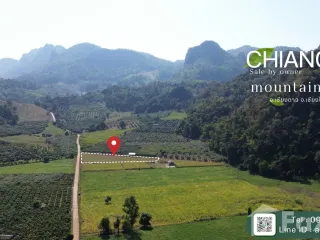 For sale land in Chiang Dao, Chiang Mai