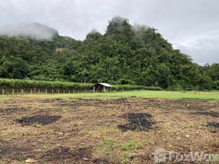 For sale land in Chiang Dao, Chiang Mai