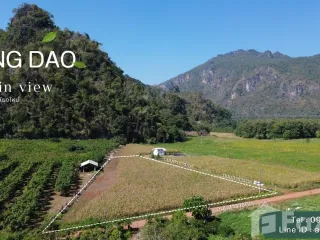 For sale land in Chiang Dao, Chiang Mai