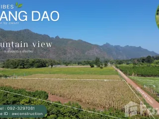 For sale land in Chiang Dao, Chiang Mai
