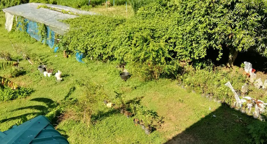 For sale 3 bedrooms house in Phrao, Chiang Mai