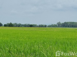 Продажа Участок в Phrom Phiram, Пхитсанулок