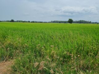 Продажа Участок в Phrom Phiram, Пхитсанулок