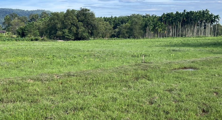 For sale land in Mueang Nakhon Nayok, Nakhon Nayok