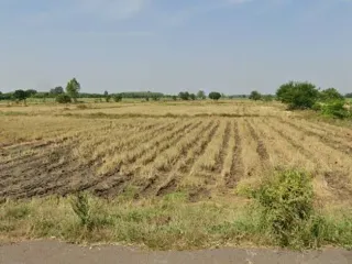 For sale land in Ban Mi, Lopburi