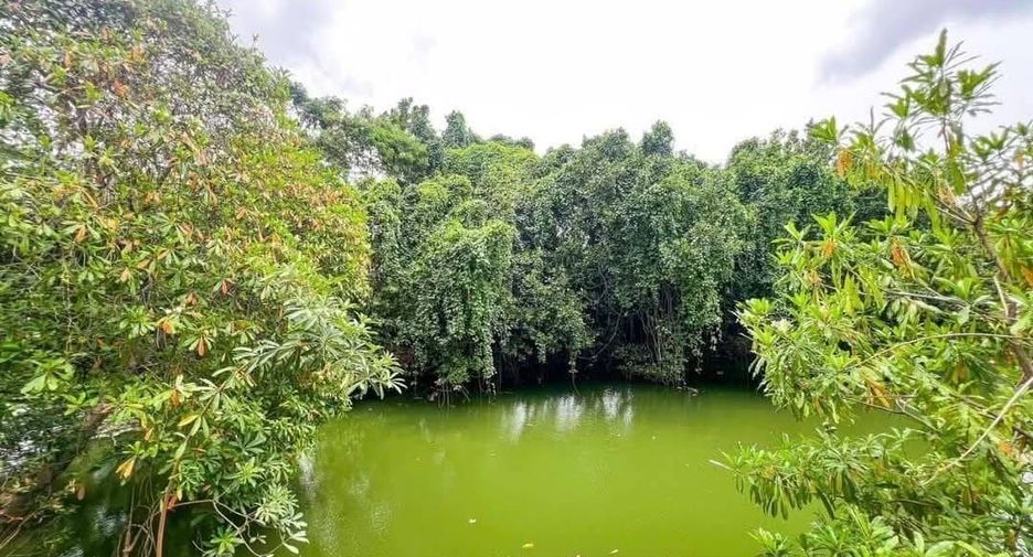 ขาย 5 ห้องนอน วิลล่า ใน เมืองภูเก็ต, ภูเก็ต