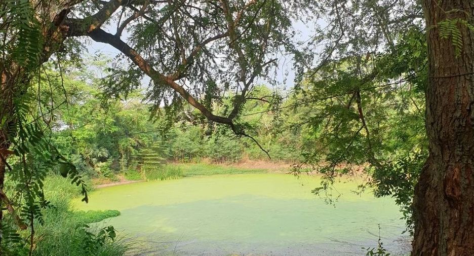 For sale land in Chaloem Phra Kiat, Saraburi