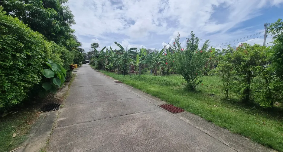 ขาย ที่ดิน ใน ถลาง, ภูเก็ต
