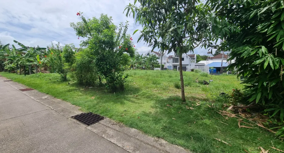 ขาย ที่ดิน ใน ถลาง, ภูเก็ต