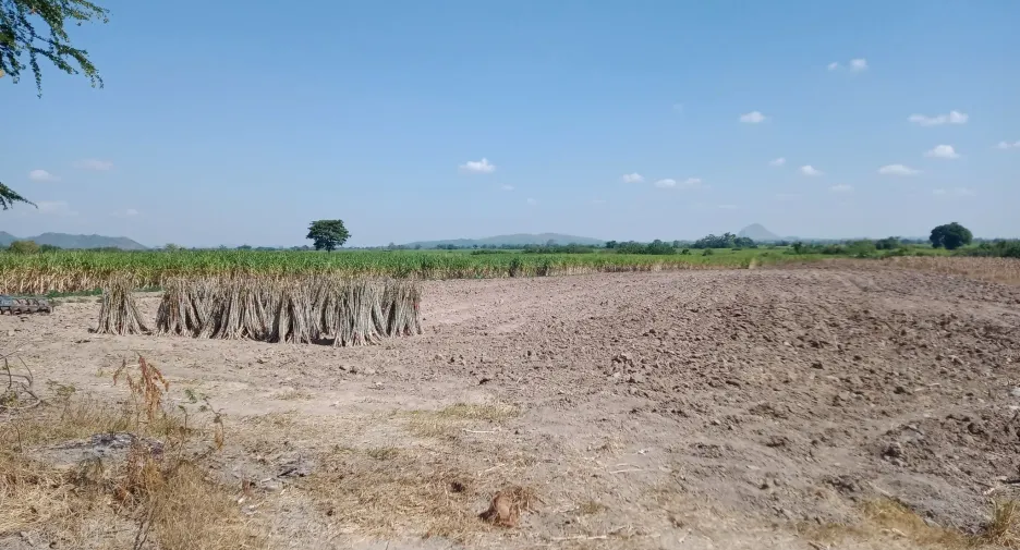 For sale land in Khok Charoen, Lopburi