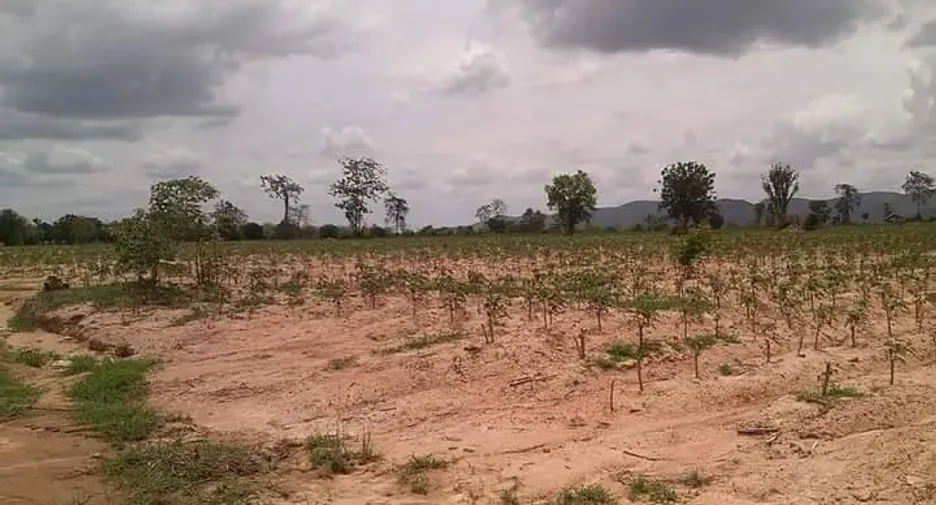 For sale land in Khok Charoen, Lopburi