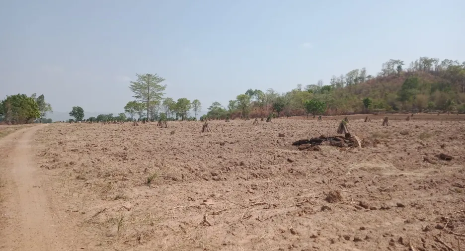 For sale land in Khok Charoen, Lopburi