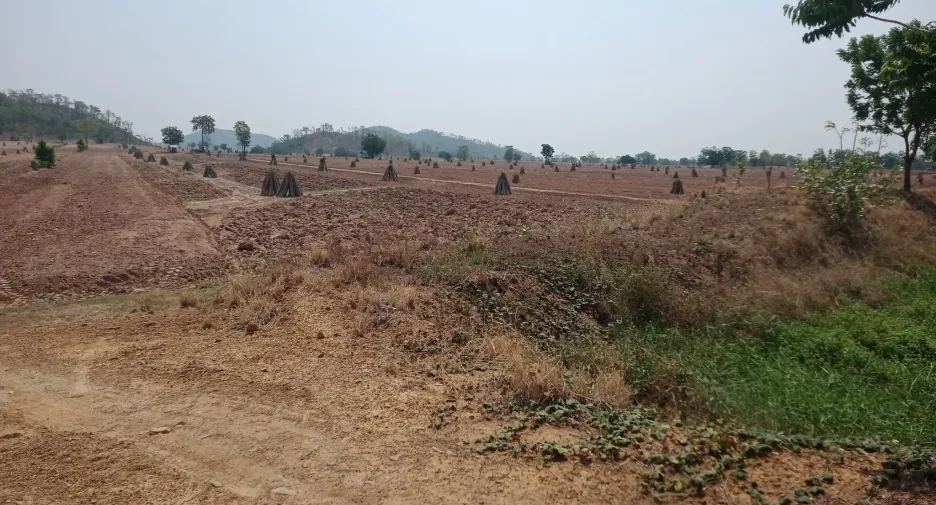 For sale land in Khok Charoen, Lopburi