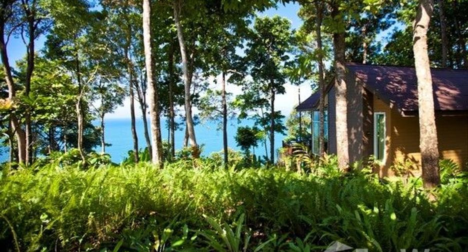 For sale land in Ko Chang, Trat