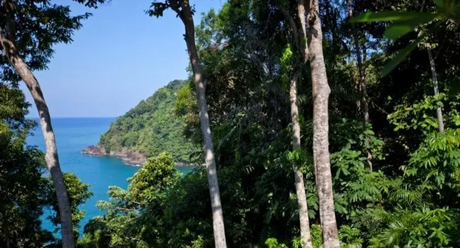 出售 土地 在 Ko Chang, Trat