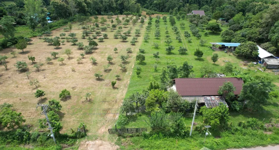 For sale land in Phu Phiang, Nan