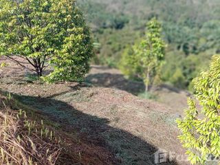 出售 土地 在 La-Un, Ranong