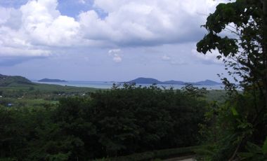 For sale land in Thalang, Phuket