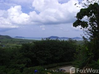 Продажа Участок в Тхаланг, Пхукет