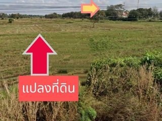 ขาย ที่ดิน ใน จักราช, นครราชสีมา