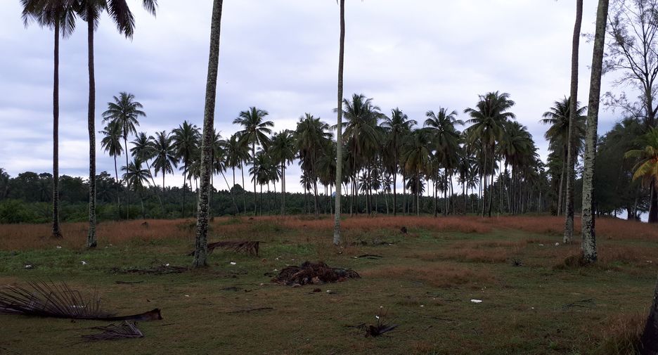 For sale land in Sichon, Nakhon Si Thammarat