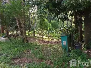 For sale land in Thalang, Phuket
