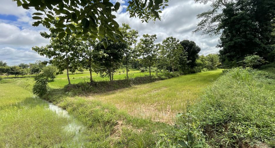 For sale land in Mueang Kalasin, Kalasin