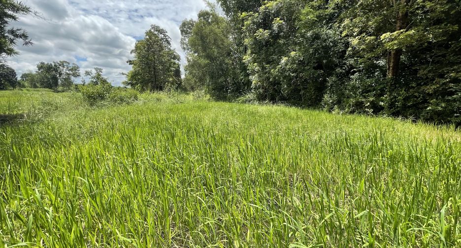 For sale land in Mueang Kalasin, Kalasin