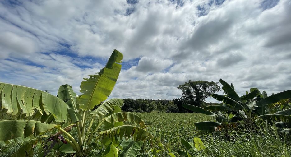 For sale land in Mueang Kalasin, Kalasin