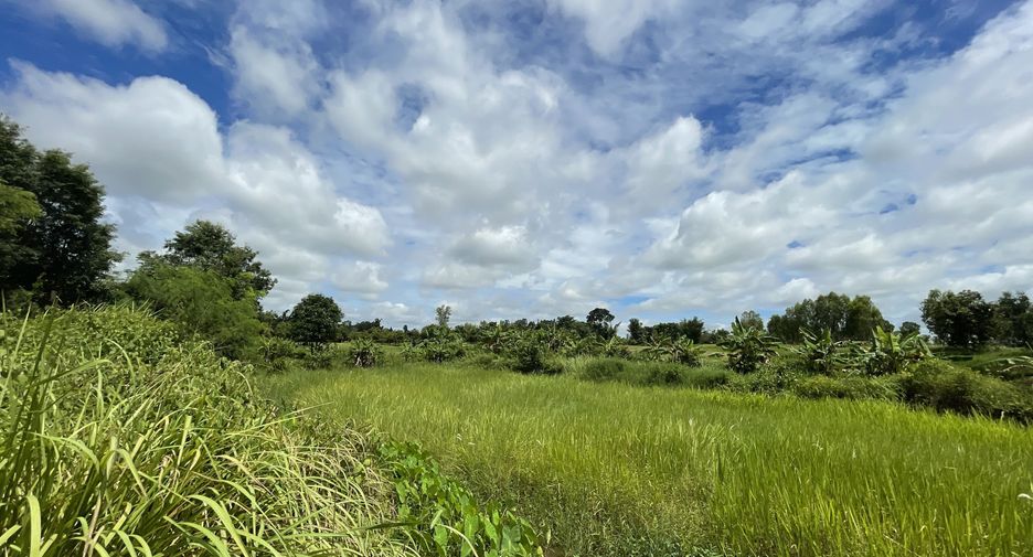 For sale land in Mueang Kalasin, Kalasin