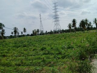 出售 土地 在 Bang Lamung, Chon Buri