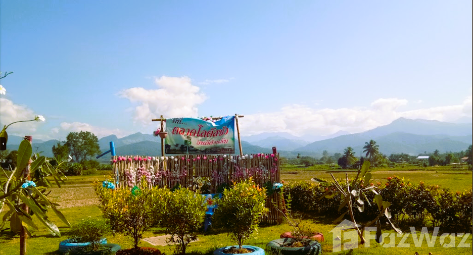 For sale land in Pua, Nan