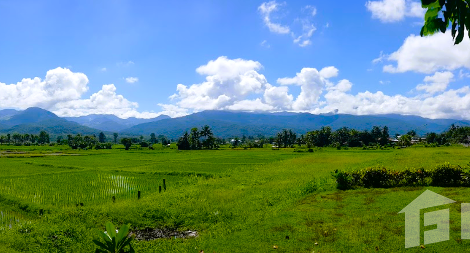 For sale land in Pua, Nan