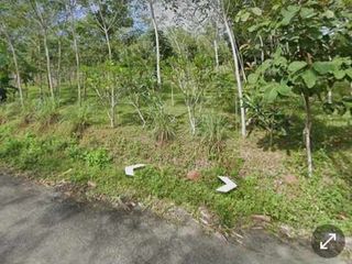 ขาย ที่ดิน ใน ตะกั่วทุ่ง, พังงา
