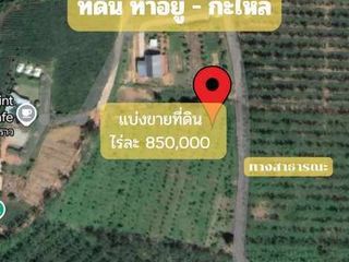 ขาย ที่ดิน ใน ตะกั่วทุ่ง, พังงา