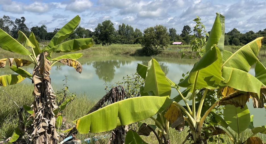 For sale land in Samrong, Ubon Ratchathani