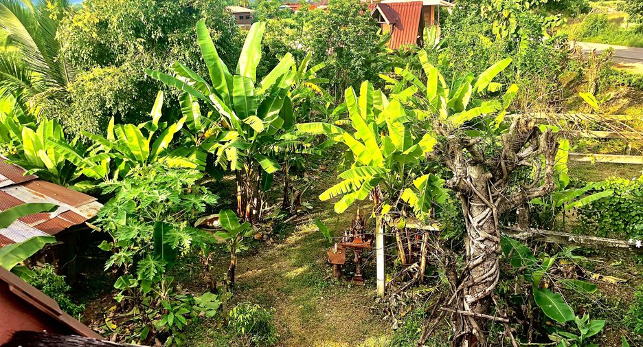 For sale land in Pua, Nan