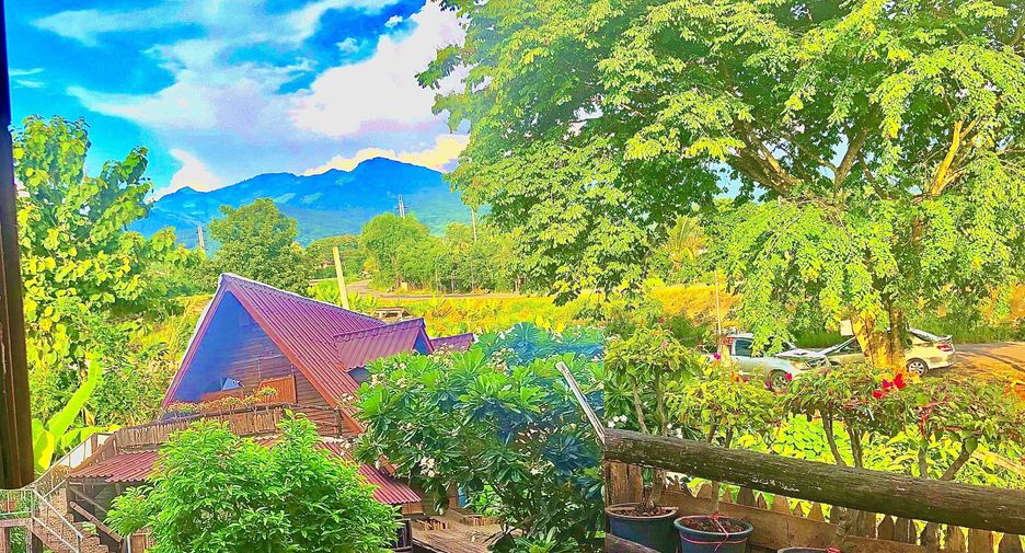 For sale land in Pua, Nan