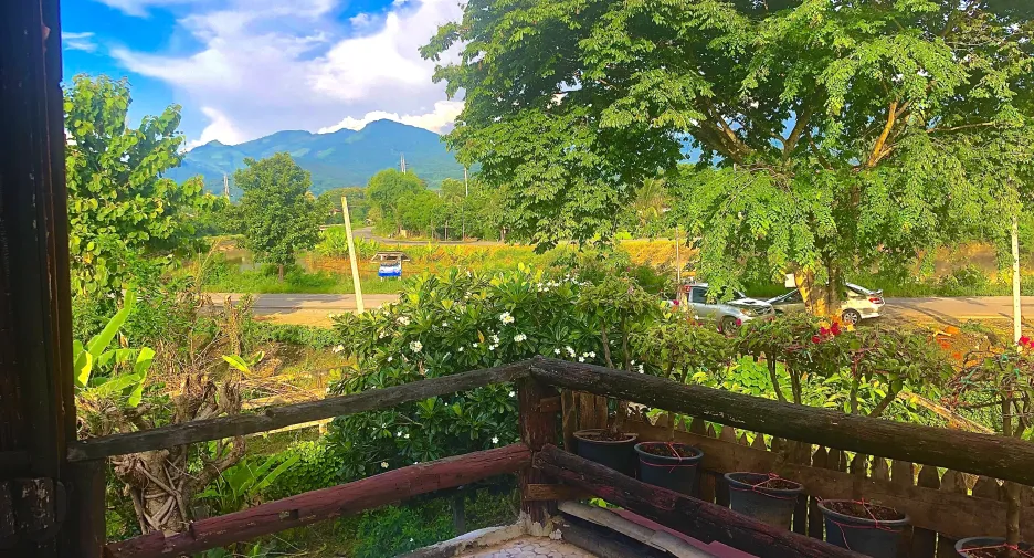 For sale land in Pua, Nan