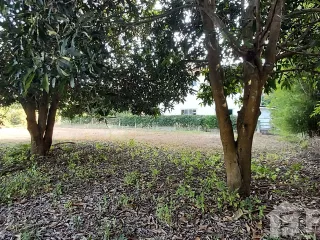 Terreno en venta en Mueang Rayong, Rayong
